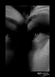 70:366<br>March Monochrome X