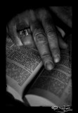164:366<br>Study