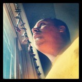 178:366<br>Head in the Stars