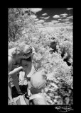 225:366<br>Discovery