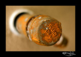 248:366<br>Capped