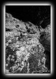 Light Box III