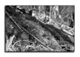 Macro World<p>January 1