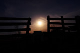 Super Moon