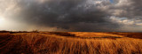 Prairie Grasses with Storms