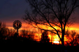 Sunset with Trees & Windmill