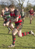 1st XV v Hessle 5-3-2011