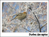  Par un si beau matin dHiver