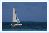 Si nous vous invitions pour une petite balade......sur leau....