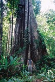  La Guyane