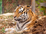 IMG_7416.jpg