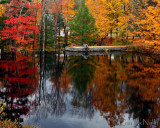 New England & Fall