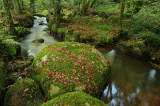 Autumn boulders