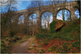 Treffry Viaduct, Luxulyan, Cornwall