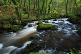 River Par, Pontsmill