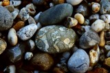 Varied beach pebbles