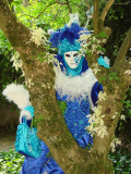 DSC00241.JPG