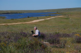 Albert at Embalse de Guadalupe (4 Stortrapper/ Great Bustard)