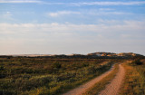 Near Rbjerg Mile, North-Jutland