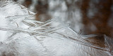 Canyon Pool and Overnight Ice