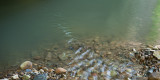 Gravel Bar Runoff 