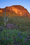 Picacho Peak