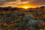 Sunrise Over Peridot Mesa