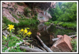 West Fork Of Oak Creek