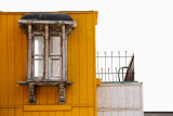 mellow yellow