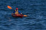 kayaking in the Inner Habour, Toronto