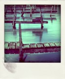 Poladroid