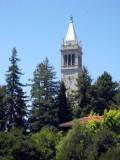 View of the Campanile from the Club