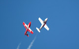 Canadian Snowbirds