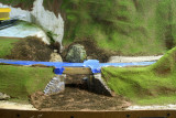 Mehoopany Creek with rocks and colored Celluclay