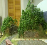 IMG_9244.JPG