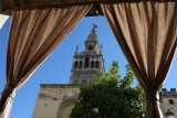 SEVILLE - LA GIRALDA
