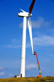 fixing the windmill