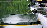 reflection