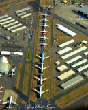 747 and 787 on Runway 11-29 KPAE