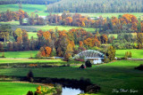 Carnation Bridge