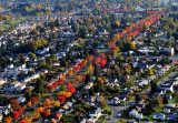 Beacon Avenue Seattle