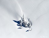 Family in snow