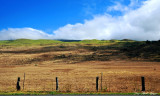 Kohala Mountain, Hawaii