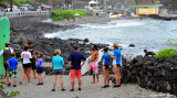 surf lesson by Kahaluus Kuemanu Heiau, Keauhou, Hawaii