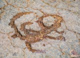 Waikola Petroglyp Field, Big Island, Hawaii