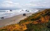 Bandon South Jetty County Park,  Kronenberg County Park, Bandon, Oregon