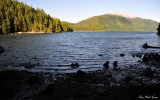 Little Dent Island, Calm Channel Desolation, Sound, Canada 