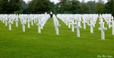 Searching for Relative, Normanday American Cemetery