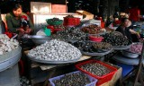 shell fish and clams merchants
