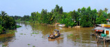 in Mekong Delta